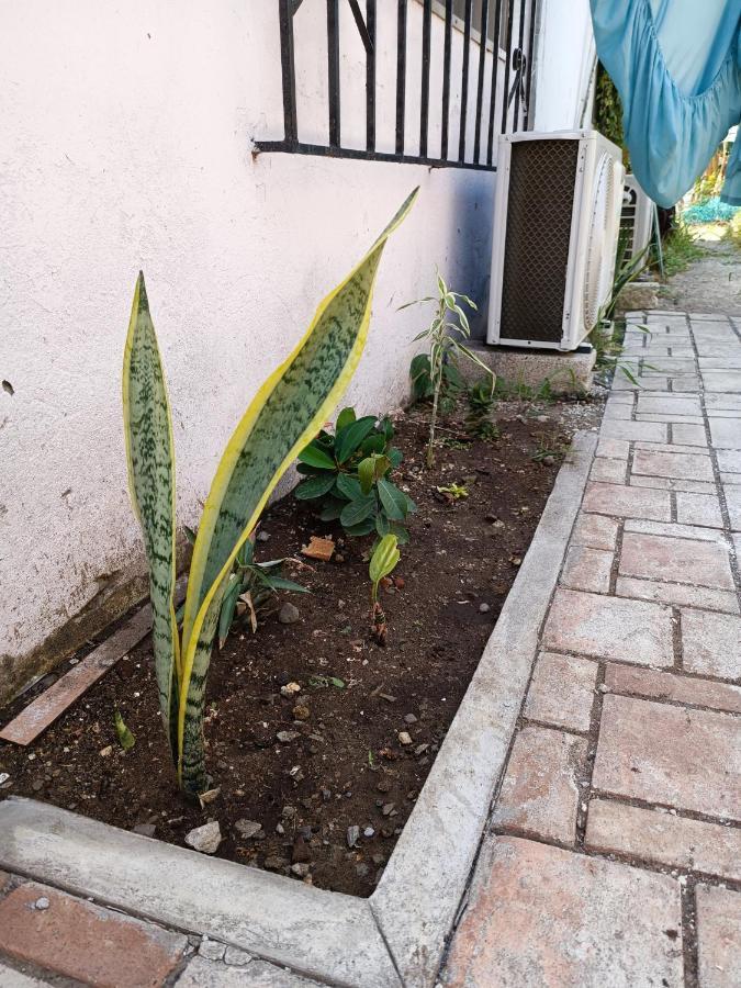 Hostal A 10 Min Del Centro De ורקרוז מראה חיצוני תמונה